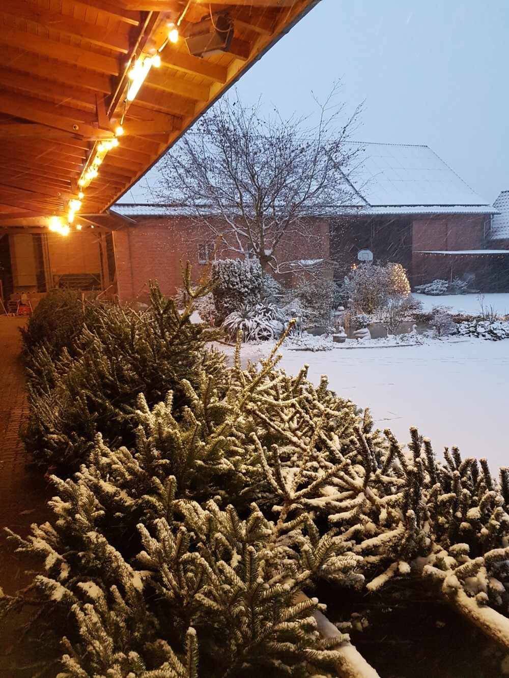 Schnee – Schauer 2