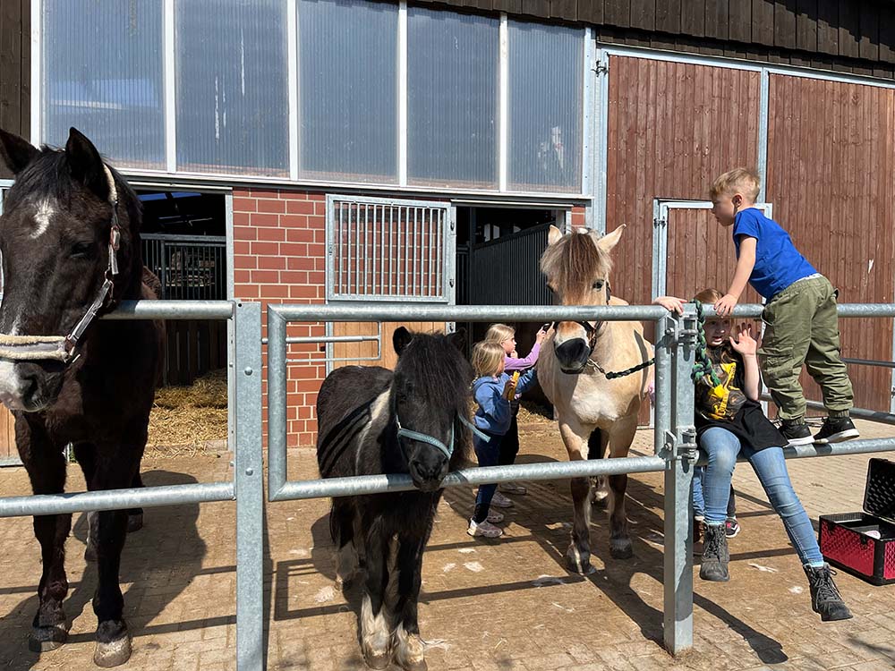 Ponyreiten auf dem Hof Behrens