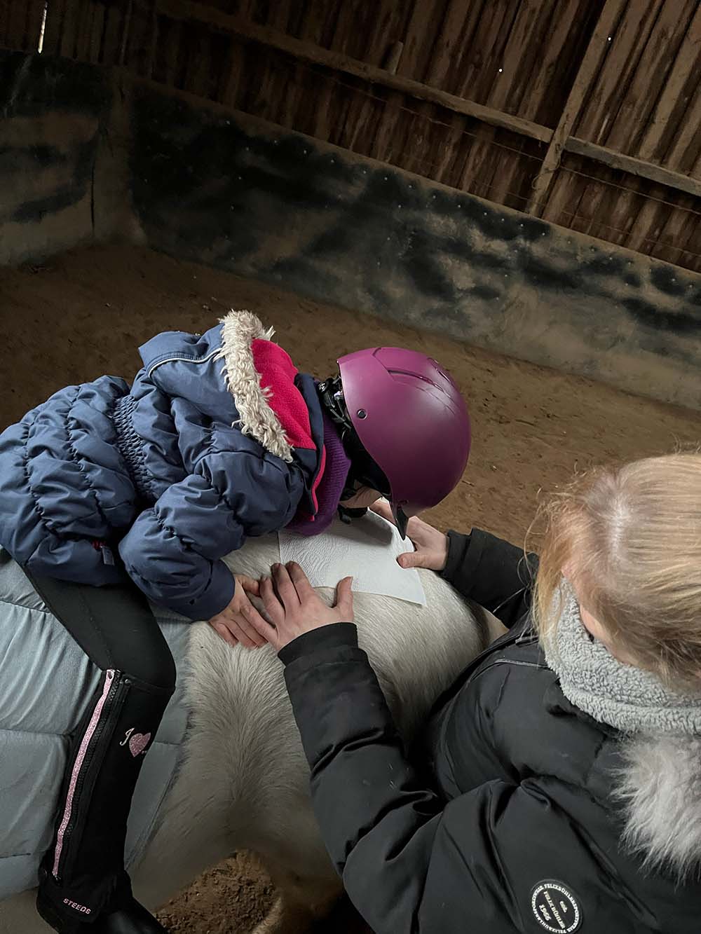 pony6