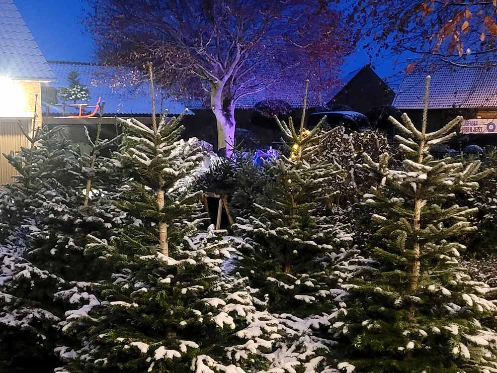 weihnachten2026-3